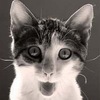 Фарид Кочегаров